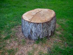 Best Commercial Tree Services  in Mcmillin, WA