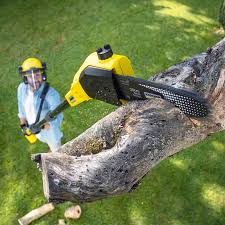 Best Tree Preservation Services  in Mcmillin, WA