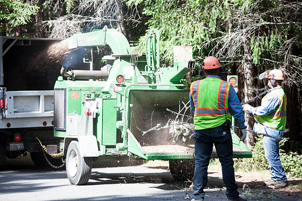 Best Seasonal Cleanup (Spring/Fall)  in Mcmillin, WA